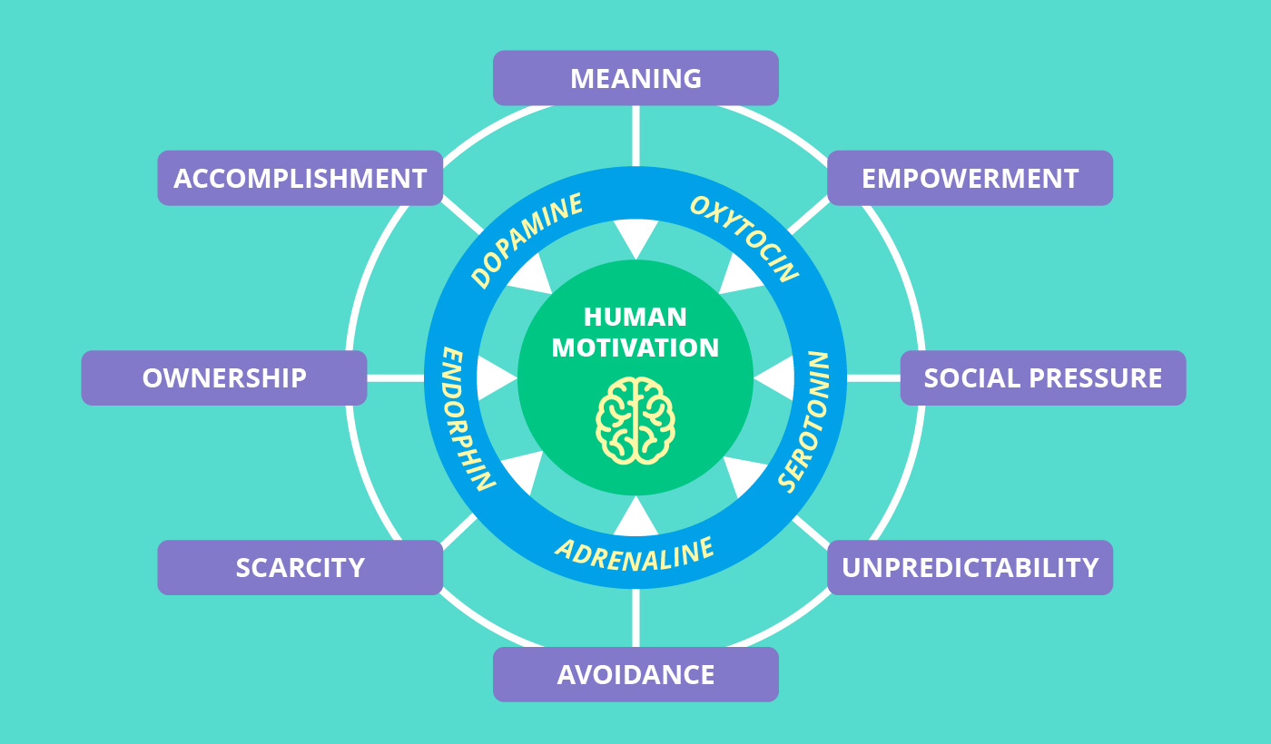 Game and gain: How neuroscience-based gamification helps to master ...